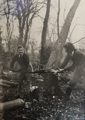 Timber Corps