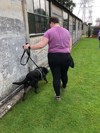 Sniffer Dogs 13
