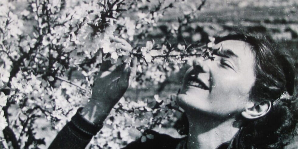 Christine Web Header 980X490