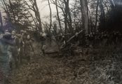 Timber Corps 2