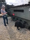 Sniffer Dogs 5