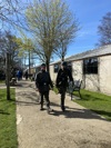 IMG 0816