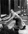 Housewife Cleaning