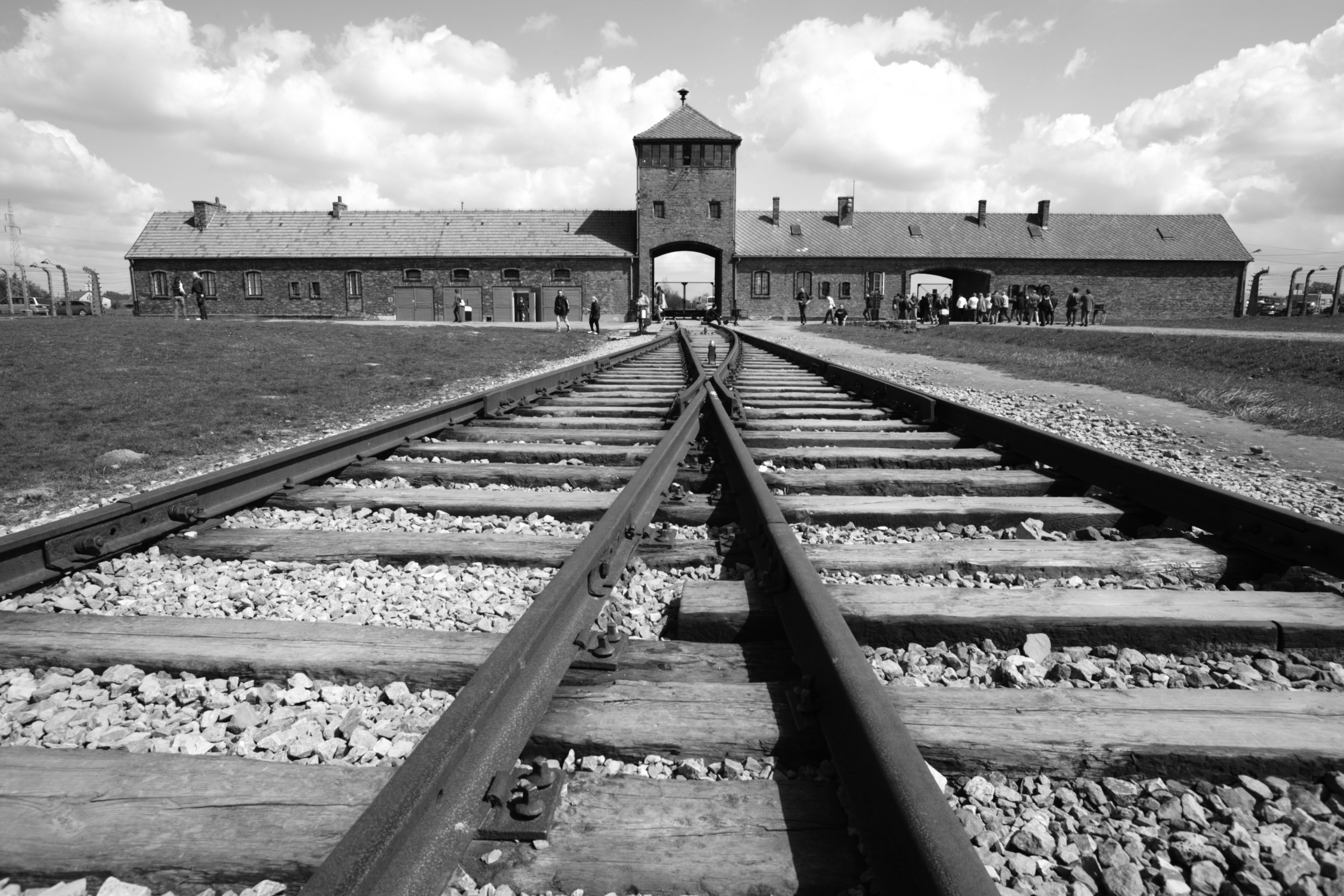 Auschwitz 56A48de53df78cf77282f0ce