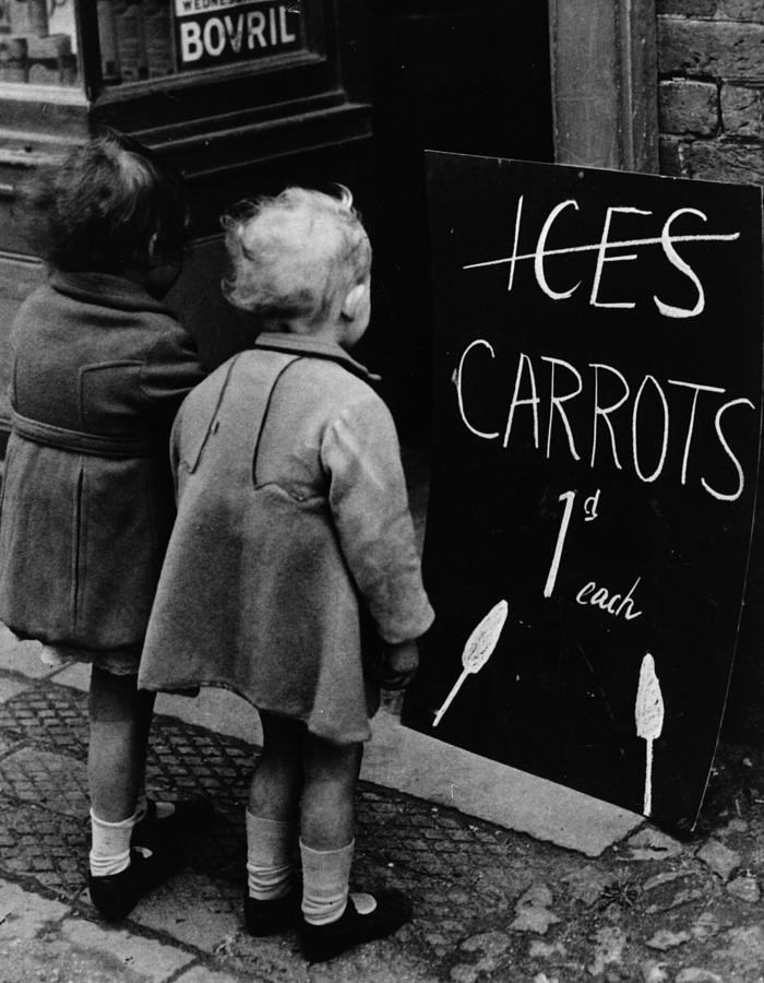 1 Carrot Lollies Fox Photos