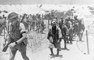 Prisoners Of War Italian Enclosure Second Battle November 1942