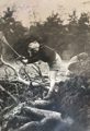 Timber Corps 3