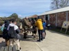 IMG 0810