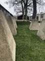 Dragons Teeth 2