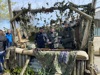 IMG 0801