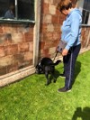 Sniffer Dogs 8