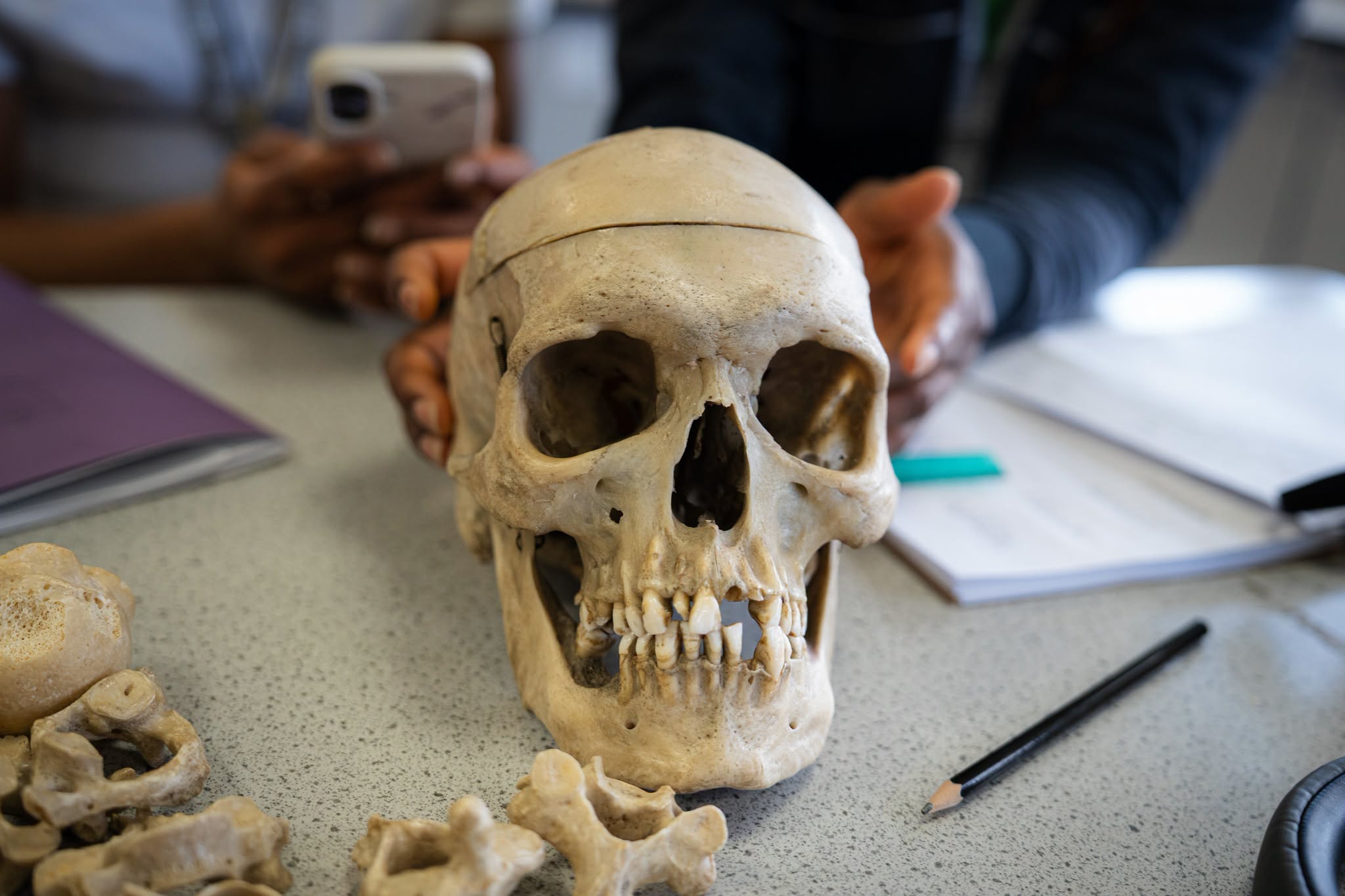 Skull - CSI