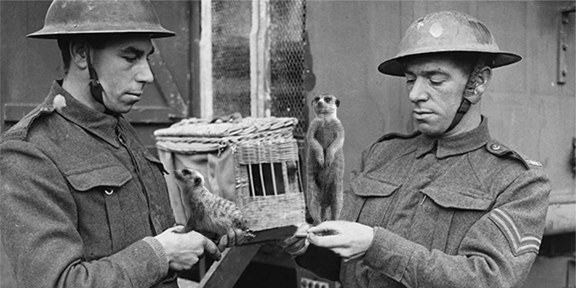 Discovery at Eden Camp: “Operation Simples”