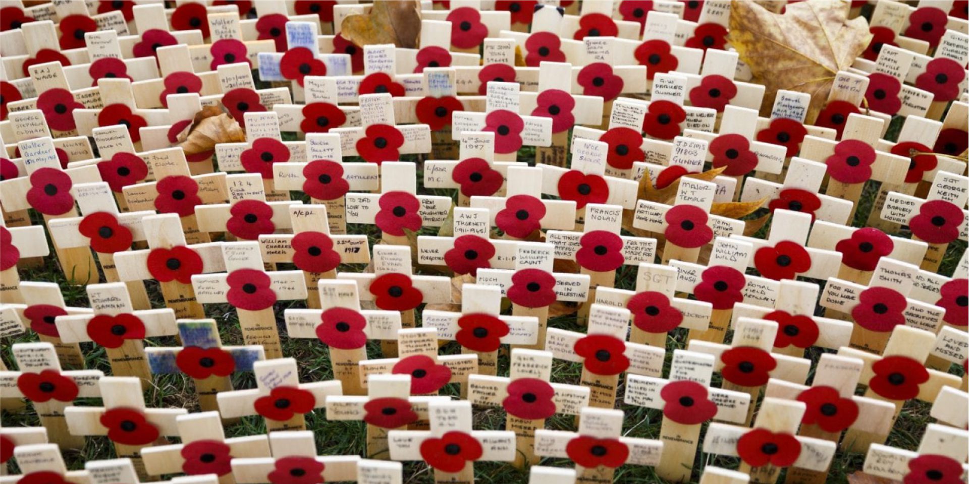 #RemembranceThursday - 100 Years Of The Poppy - Eden Camp Modern ...