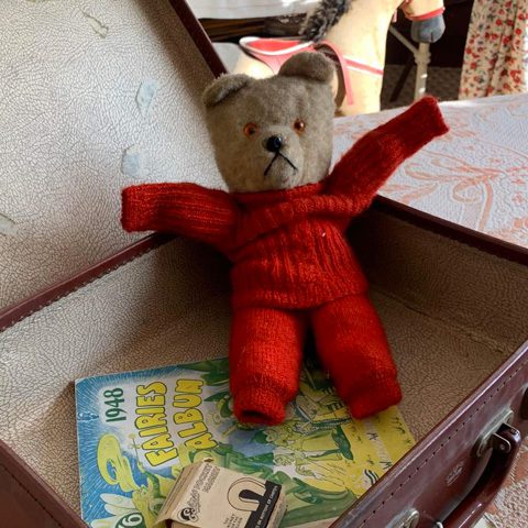 aa-teddy