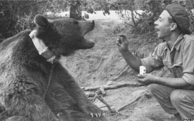 #Forgotten Friday: The Bear Soldier of the Second World War