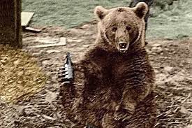 A History of the Changing Use of the Bear as a Symbol of Russia