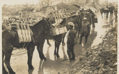 #ForgottenFriday – Pet Remembrance Day, 5th July.