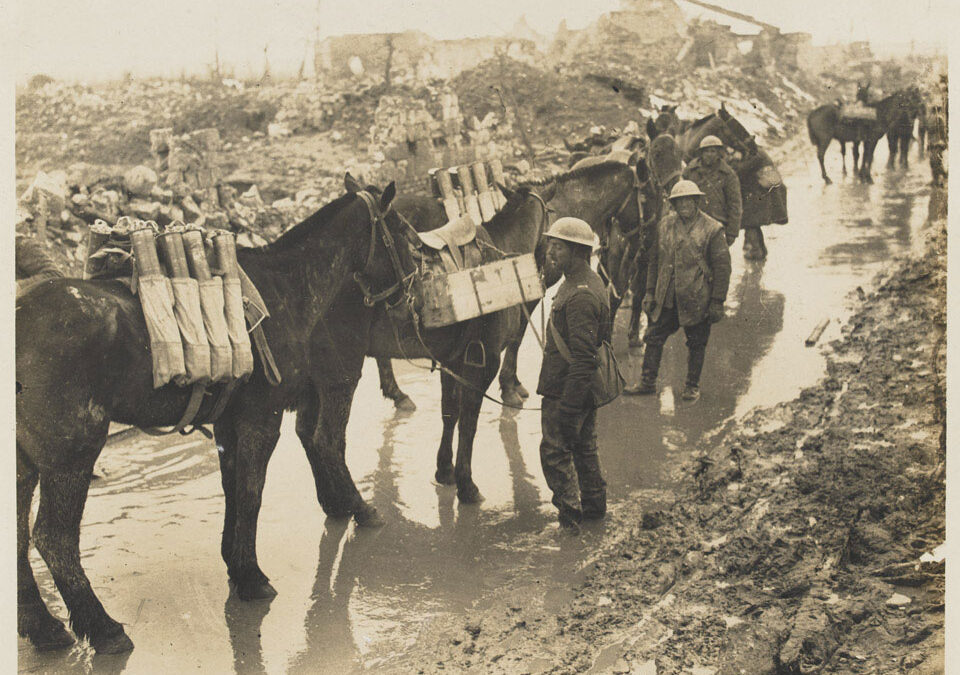 #ForgottenFriday – Pet Remembrance Day, 5th July.